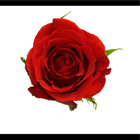 redrosec